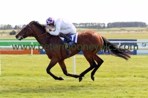 parish-hall-190415pml999 parish-hall-190415pml999