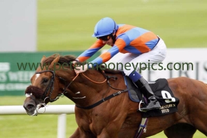 home-of-the-brave-190715pml506 home-of-the-brave-190715pml506