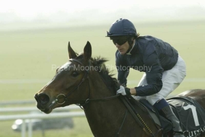 Kitty O'Shea PM00317098.jpg Kitty O'Shea PM00317098.jpg