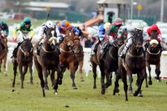 Blue Dahlia-PML 00149570