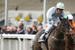 Blue Dahlia-PML 00149584