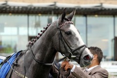 18 July 2019;  MIA MARIA after she had won The Irish Stallion Farms European Breeders Fund Fillies Maiden at The Curragh.      © Peter Mooney, 59 Upper George's Street, Dun Laoghaire, Co. Dublin, Ireland.    Tel:  00 353 (0)86 2589298