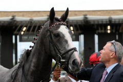 18 July 2019;  MIA MARIA after she had won The Irish Stallion Farms European Breeders Fund Fillies Maiden at The Curragh.      © Peter Mooney, 59 Upper George's Street, Dun Laoghaire, Co. Dublin, Ireland.    Tel:  00 353 (0)86 2589298