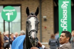 18 July 2019;  MIA MARIA after she had won The Irish Stallion Farms European Breeders Fund Fillies Maiden at The Curragh.      © Peter Mooney, 59 Upper George's Street, Dun Laoghaire, Co. Dublin, Ireland.    Tel:  00 353 (0)86 2589298