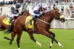 18 July 2019;  ROMAN TURBO, Ronan Whelan up, winning The Jebel Ali Racecourse And Stables Anglesey Stakes at The Curragh.      © Peter Mooney, 59 Upper George's Street, Dun Laoghaire, Co. Dublin, Ireland.    Tel:  00 353 (0)86 2589298