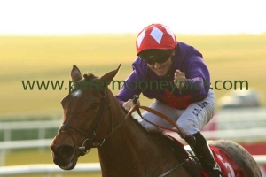 sruthan-200316pml917 sruthan-200316pml917