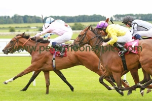 mango-diva-200714pml0696 mango-diva-200714pml0696