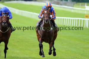 order-of-st-george-200816pml0402 order-of-st-george-200816pml0402