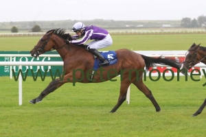 magical-200817pml1152 magical-200817pml1152