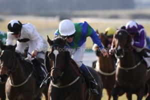 Big Robert PML 00113845.JPG Big Robert PML 00113845.JPG