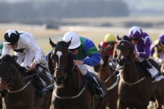 Big Robert PML 00113844.JPG