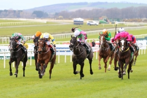 Lafayette-210321PML0451 Lafayette-210321PML0451