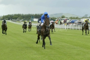 Dubawi PML0003811.jpg Dubawi PML0003811.jpg