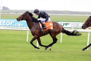 Roderic O'Connor-PML 00154257 Roderic O'Connor-PML 00154257