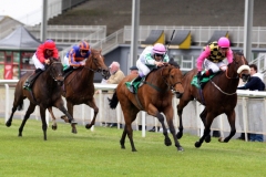 Hitchens-PML 00154180