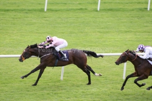 Pathfork PML 00131640.JPG Pathfork PML 00131640.JPG