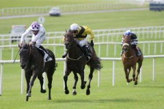 Banimpire PML 00131577.JPG