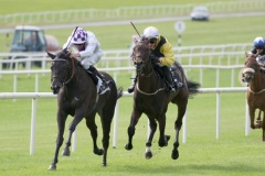 Banimpire PML 00131581.JPG