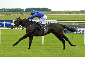 awtaad-210516pml510 awtaad-210516pml510