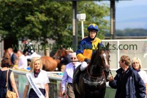 whozthecat-pml-00133034 whozthecat-pml-00133034