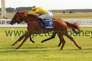 sea-of-class-210718pml0526 sea-of-class-210718pml0526