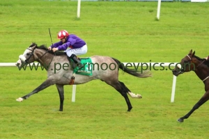 success-days-210816pml0676 success-days-210816pml0676