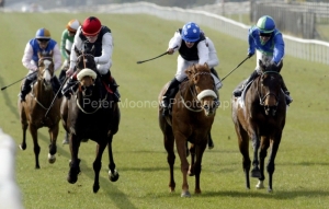 Oh Goodness Me PML 0087080.JPG Oh Goodness Me PML 0087080.JPG