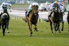 Chorus Of Angels PML 0087116.JPG