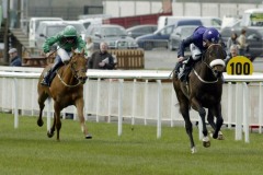 King Ledley PML 0087016.JPG