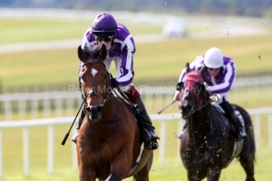 Excelebration-PML 00184472 Excelebration-PML 00184472