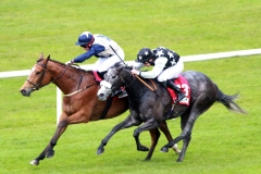 Cnocan Diva-PML 00184418