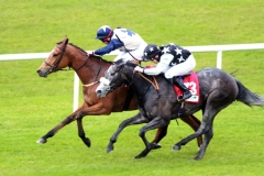 Cnocan Diva-PML 00184423