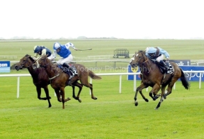 Saoire PML0004036.jpg Saoire PML0004036.jpg