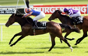 Misty For Me-PML 00154573 Misty For Me-PML 00154573