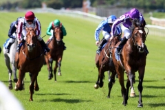 Alexander Pope-PML 00154452