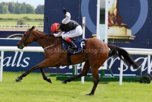 Homeless Songs 220522PML0 Homeless Songs 220522PML0