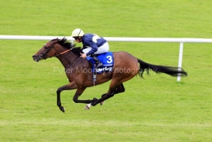 Great-Heavens-PML 00191725 Great-Heavens-PML 00191725