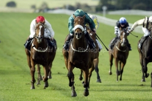 Boca Dancer PML00345010 Boca Dancer PML00345010