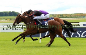 jet-setting-220516pml416 jet-setting-220516pml416