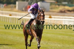 magical-220718pml0555 magical-220718pml0555