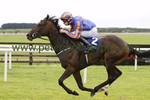 ballydoyle-220815pml518 ballydoyle-220815pml518