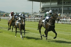 Attraction PMOO34190.jpg Attraction PMOO34190.jpg