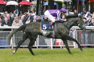 Mastercraftsman PML 0091095.JPG Mastercraftsman PML 0091095.JPG