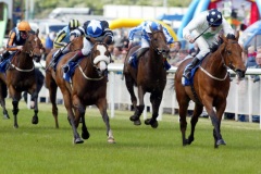 Emily Blake PML 0090924.JPG