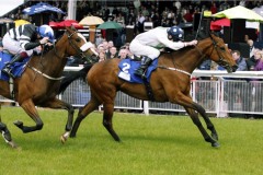 Emily Blake PML 0090932.JPG