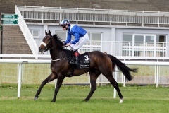 Bethrah PML 00120573.JPG