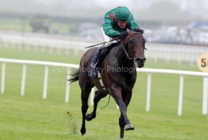 Arazan PML 0074877.JPG Arazan PML 0074877.JPG