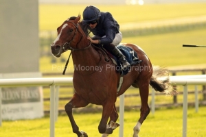 23 August 2019;  ARMORY and Ryan Moore are comfortable winners of The Galileo Irish European Breeders Fund Futurity Stakes at The Curragh.      © Peter Mooney, 59 Upper George's Street, Dun Laoghaire, Co. Dublin A96 H2R3, Ireland.    Tel:  00 353 (0)86 2589298