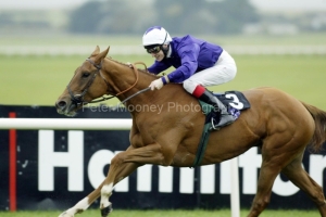 Allexina PM00311480.jpg Allexina PM00311480.jpg