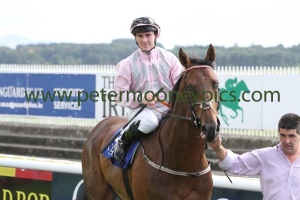 shepherds-pulse-230814pml0467 shepherds-pulse-230814pml0467